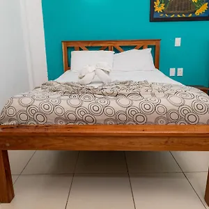 Palmas En Laurel *** Cancún